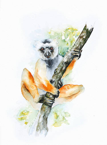 Spider Monkey Deviantart Spider Monkey by rockntooth on DeviantArt