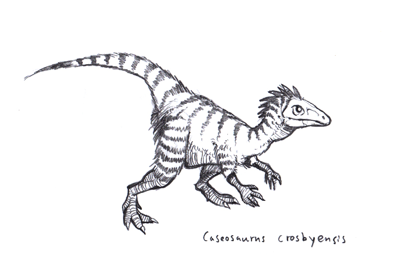 Caseosaurus Crosbyensis 2