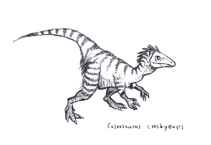 Caseosaurus Crosbyensis 2 by Dinostavros