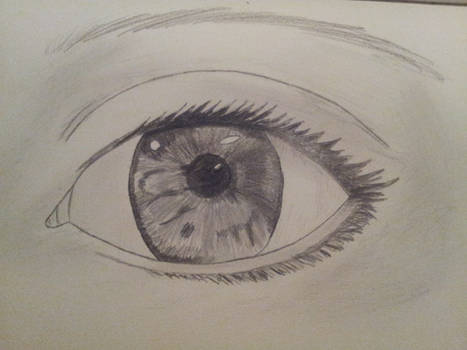 First of many eye attempts