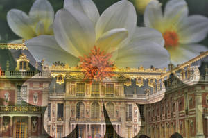 Le Chateau Versailles et trois fleurs by yomammas78