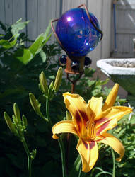 Lily and a Reflective Ball