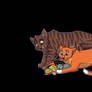 brambleclaw and squirrelflight