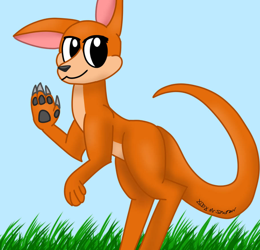Kangaroo by MrSparrowXZ on DeviantArt