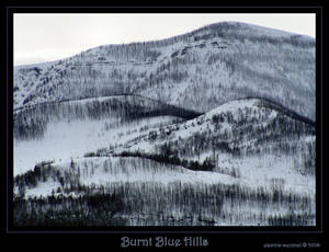 Burnt Blue Hills