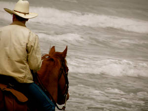 Seaside Cowboy