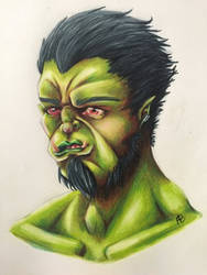 Ugly half-orc