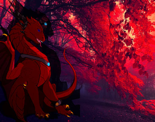 Dimitri in Red Forest