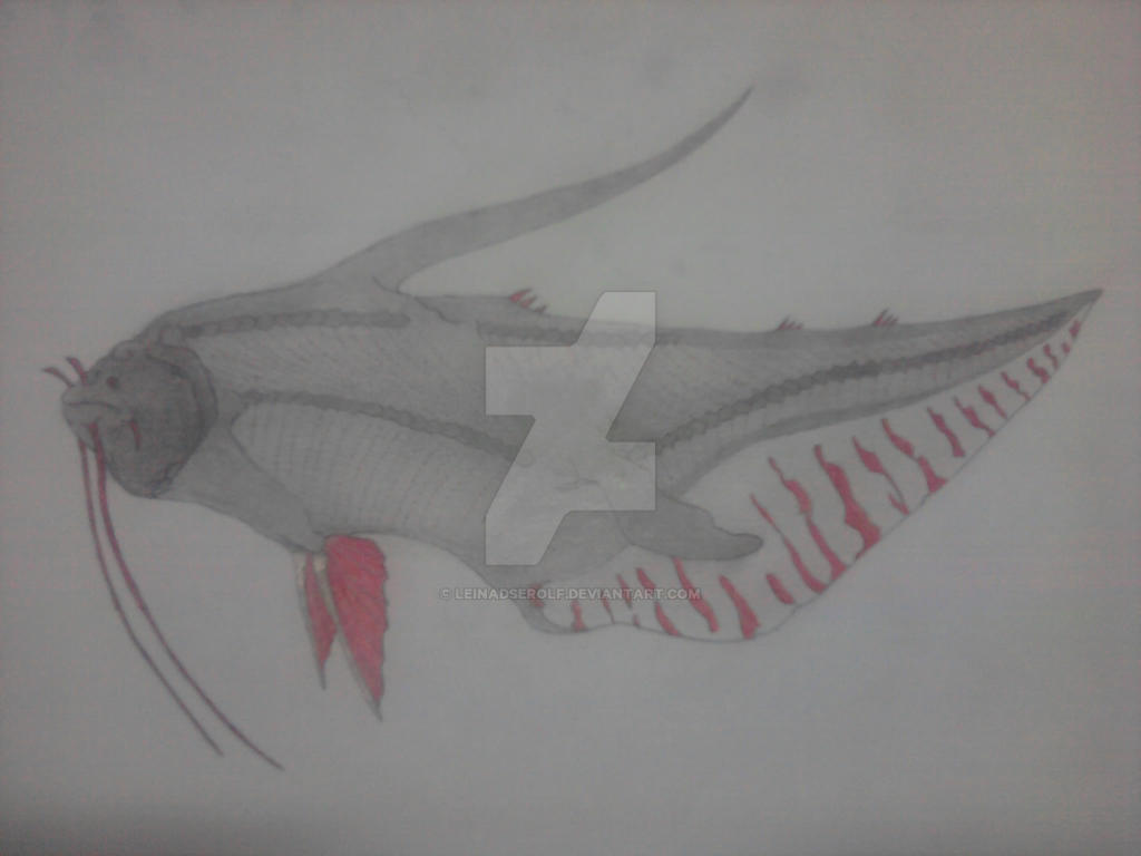 Catfish ?... by LEINADSEROLF on DeviantArt