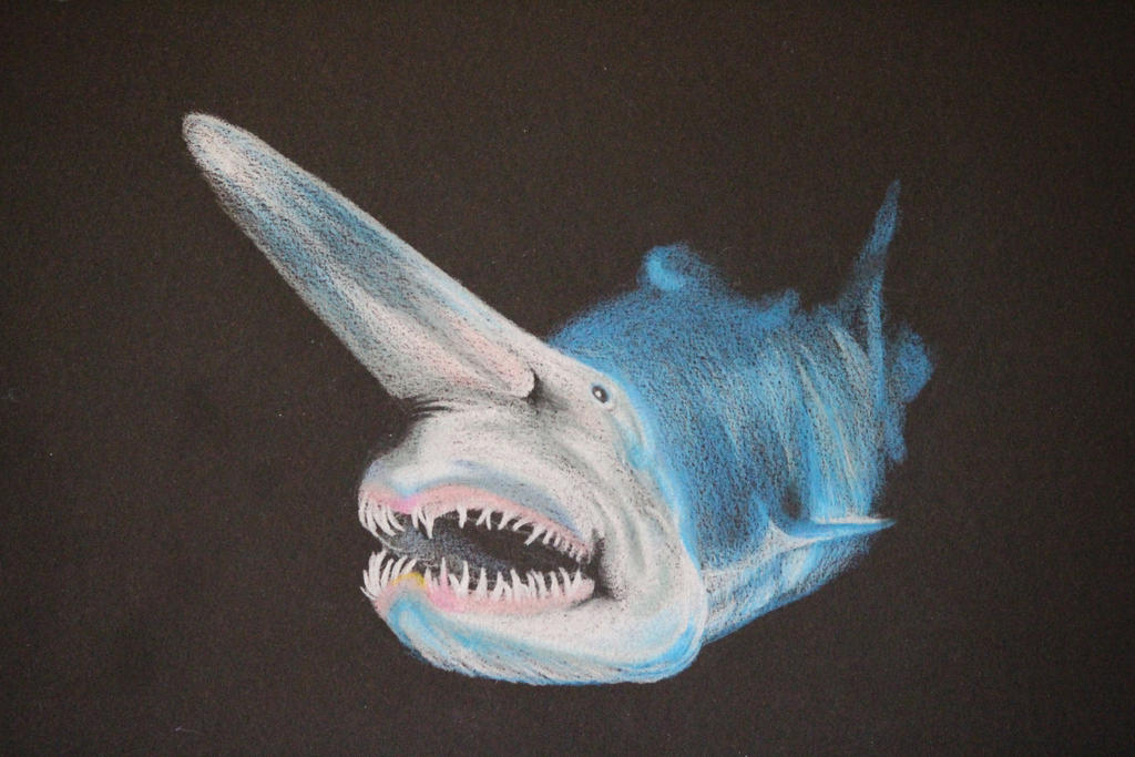 Goblin Shark by CockoftheRock on DeviantArt
