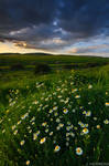 La primavera ya llego by javierherrera86