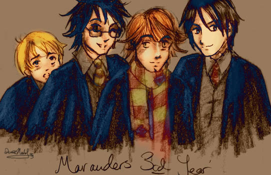 a marauding crew