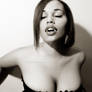 Vixen 3