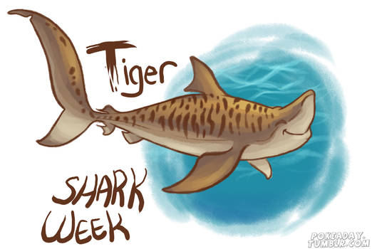 Tiger Shark