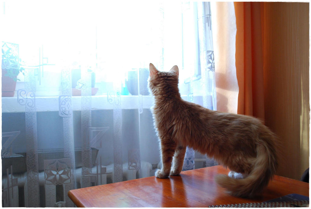 Rudi 10 by Robert2908 on DeviantArt