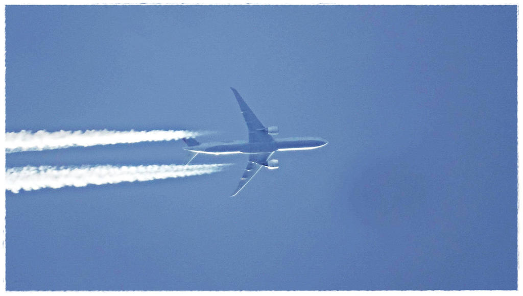 Fly 1 by Robert2908 on DeviantArt