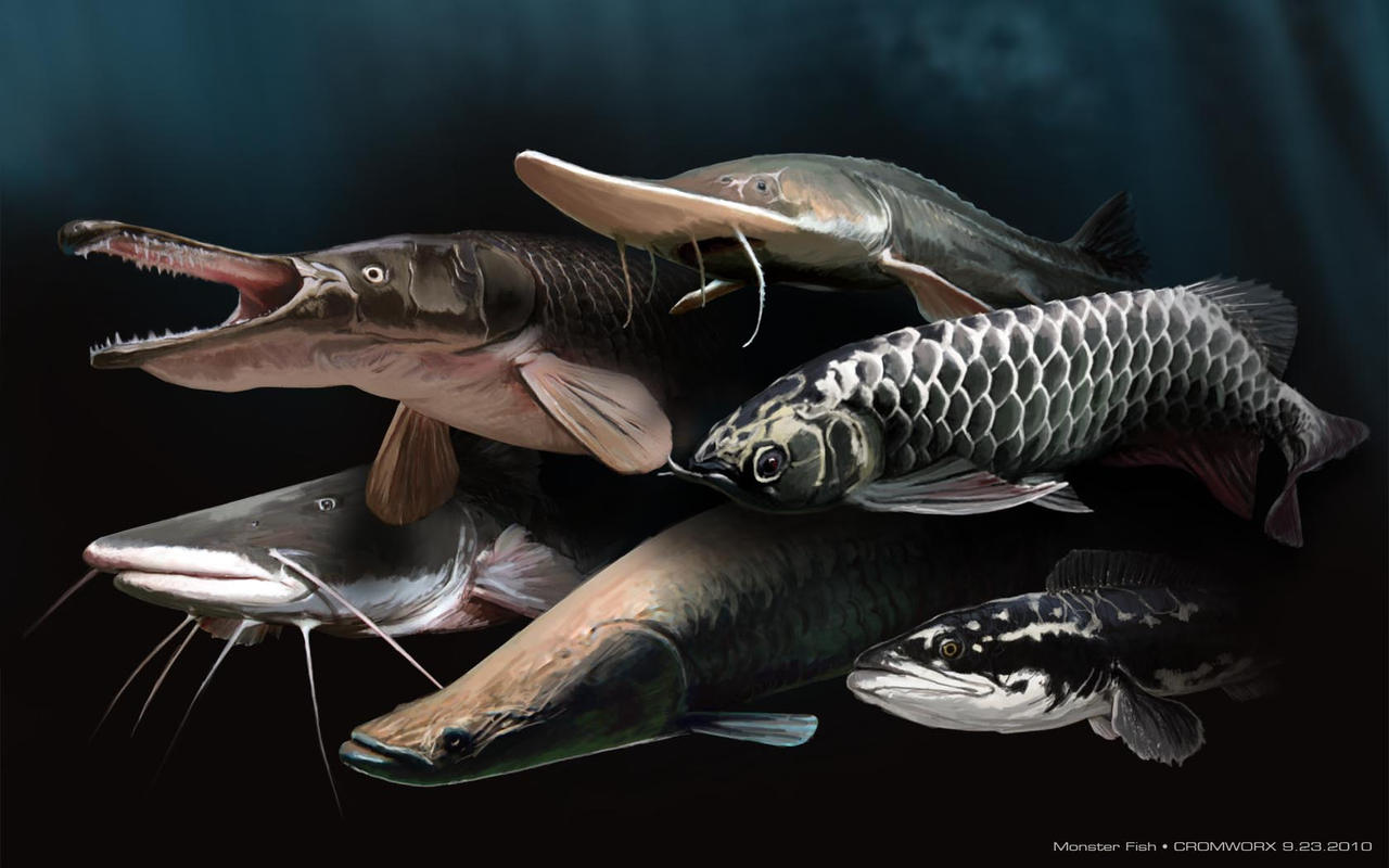 Monster Fishes by cromzl on DeviantArt