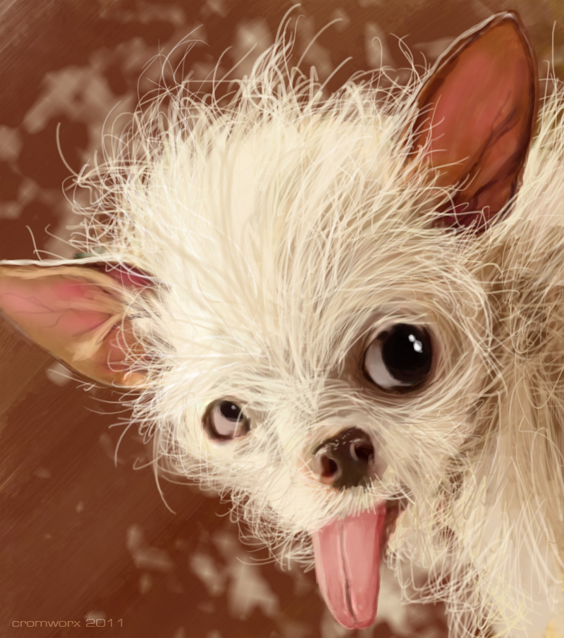 World's ugliest dog