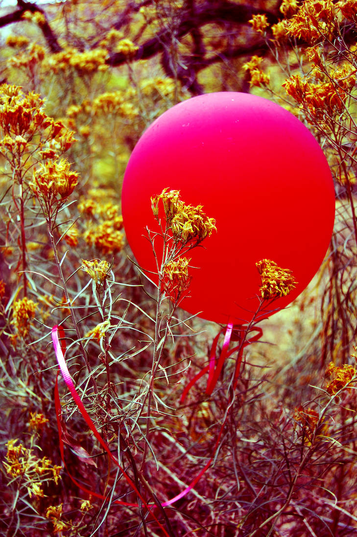 Fallen Ballon