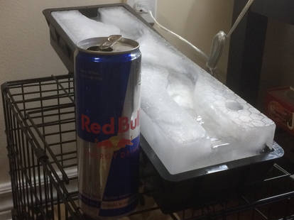 Explore the Best Luge Art | DeviantArt