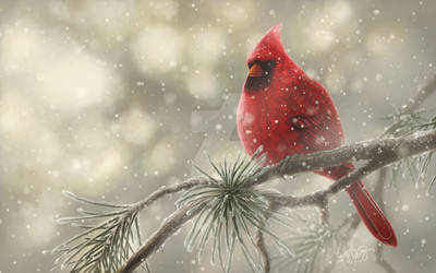 2016 Christmas Card 'Cardinal'