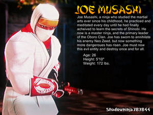 Joe Musashi (SCV) Shadowninja787844