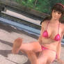 Hitomi Private Paradise 4