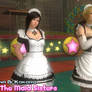 Helena and Kokoro: The Maid Sisters