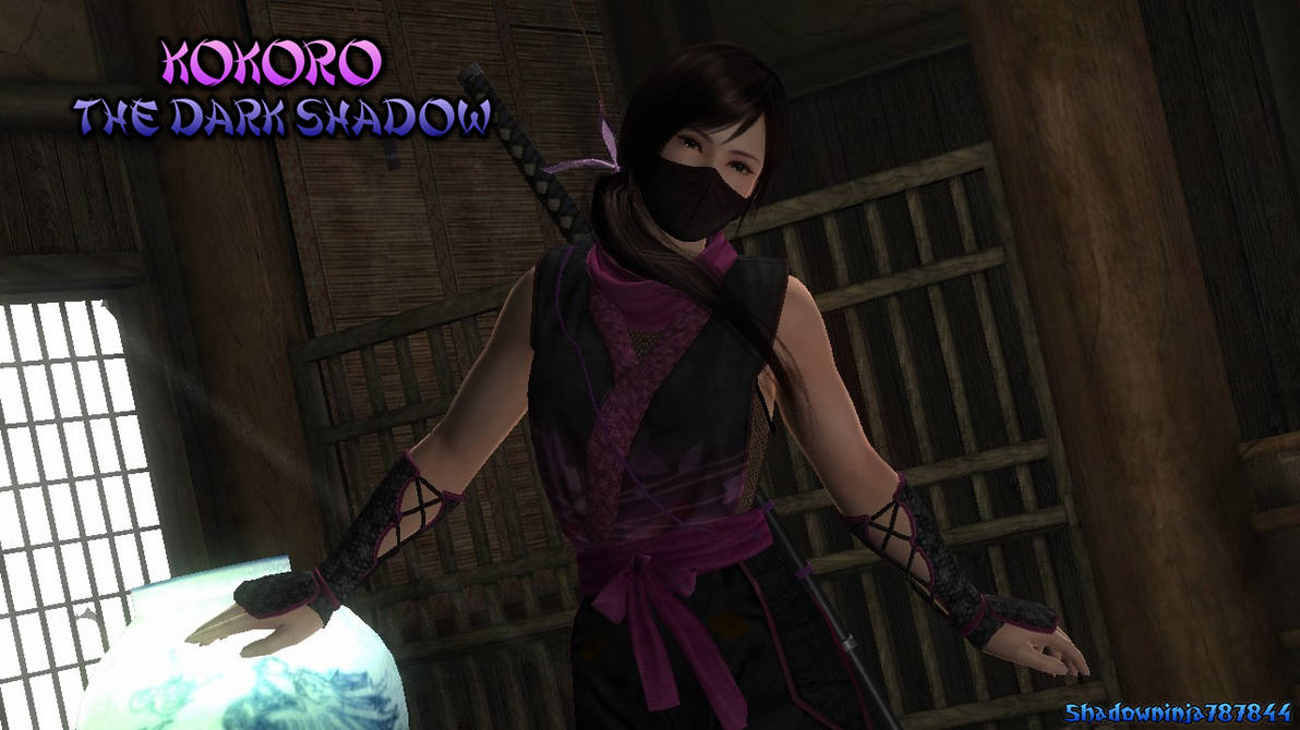 Ninja Wisdom: Find Your Kokoro » Soul Ninja