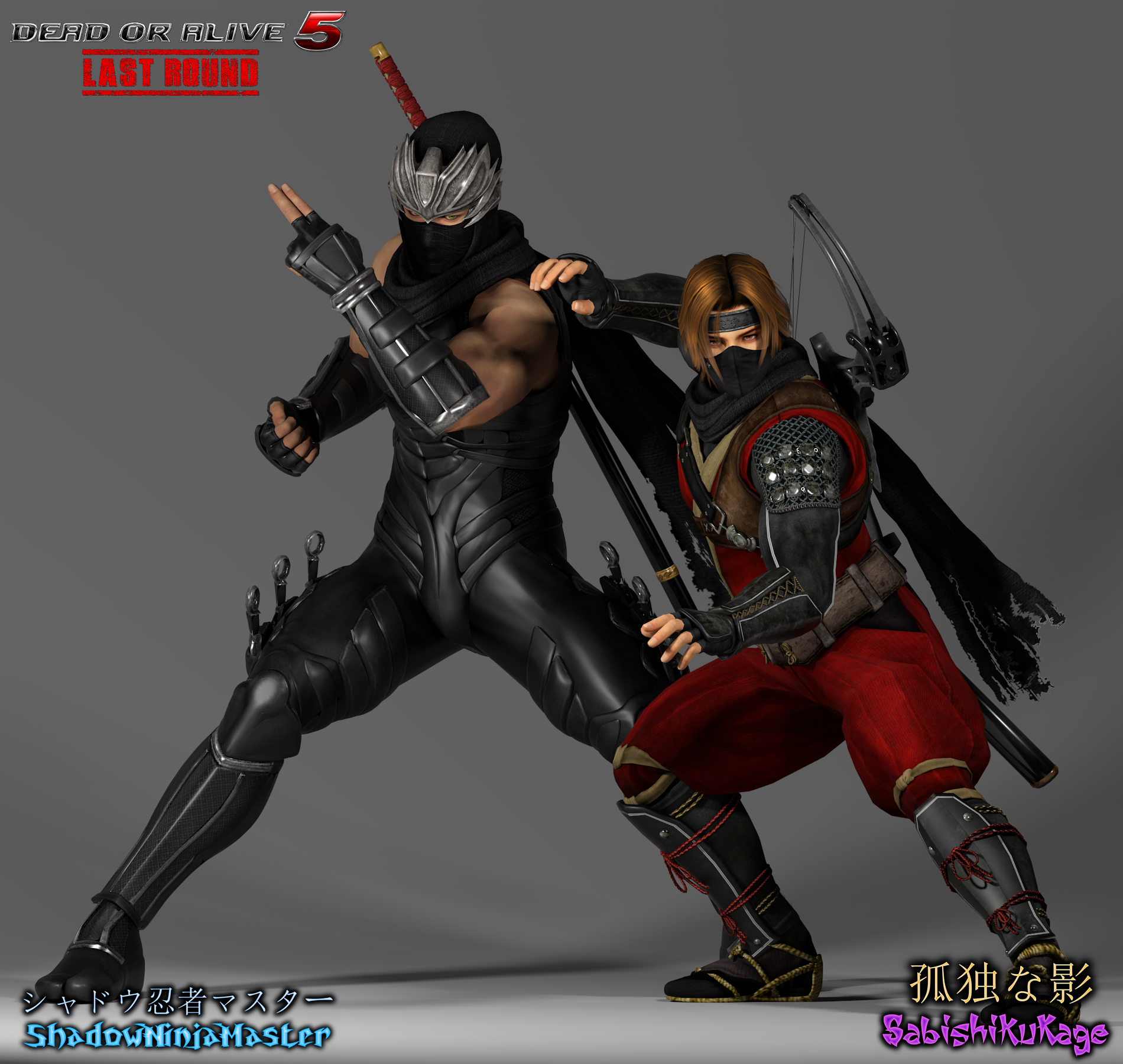 DOA5LR Ryu Hayabusa And Hayate By ShadowNinjaMaster On DeviantArt doa5lr-ryu-hayabusa-and-hayate-by-shadowninjamaster-on-deviantart