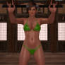 Bikini Ninja Girls: Lisa Hamilton 2