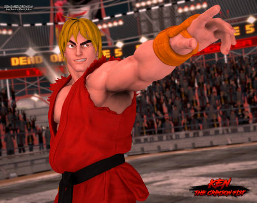 Ken Master: The Crimson Fist II