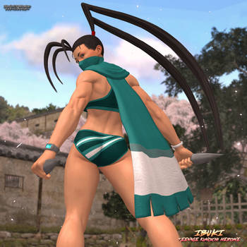 Ibuki: Teenage Kunoichi Heroine