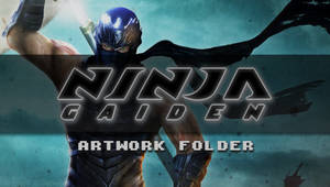 Ninja Gaiden Artwork(cover)