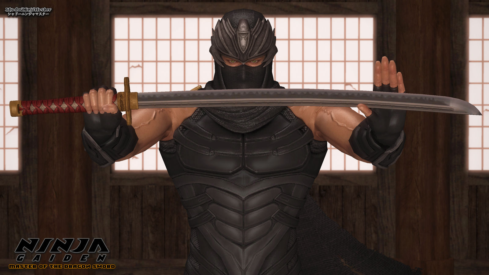 Ryu Hayabusa Master Of The Dragon Sword By ShadowNinjaMaster On DeviantArt ryu-hayabusa-master-of-the-dragon-sword-by-shadowninjamaster-on-deviantart