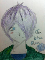 Garry The Blue Rose