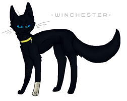 Little, little Scourge