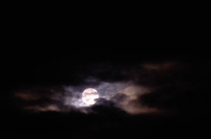 Full Moon Stock Free To Use