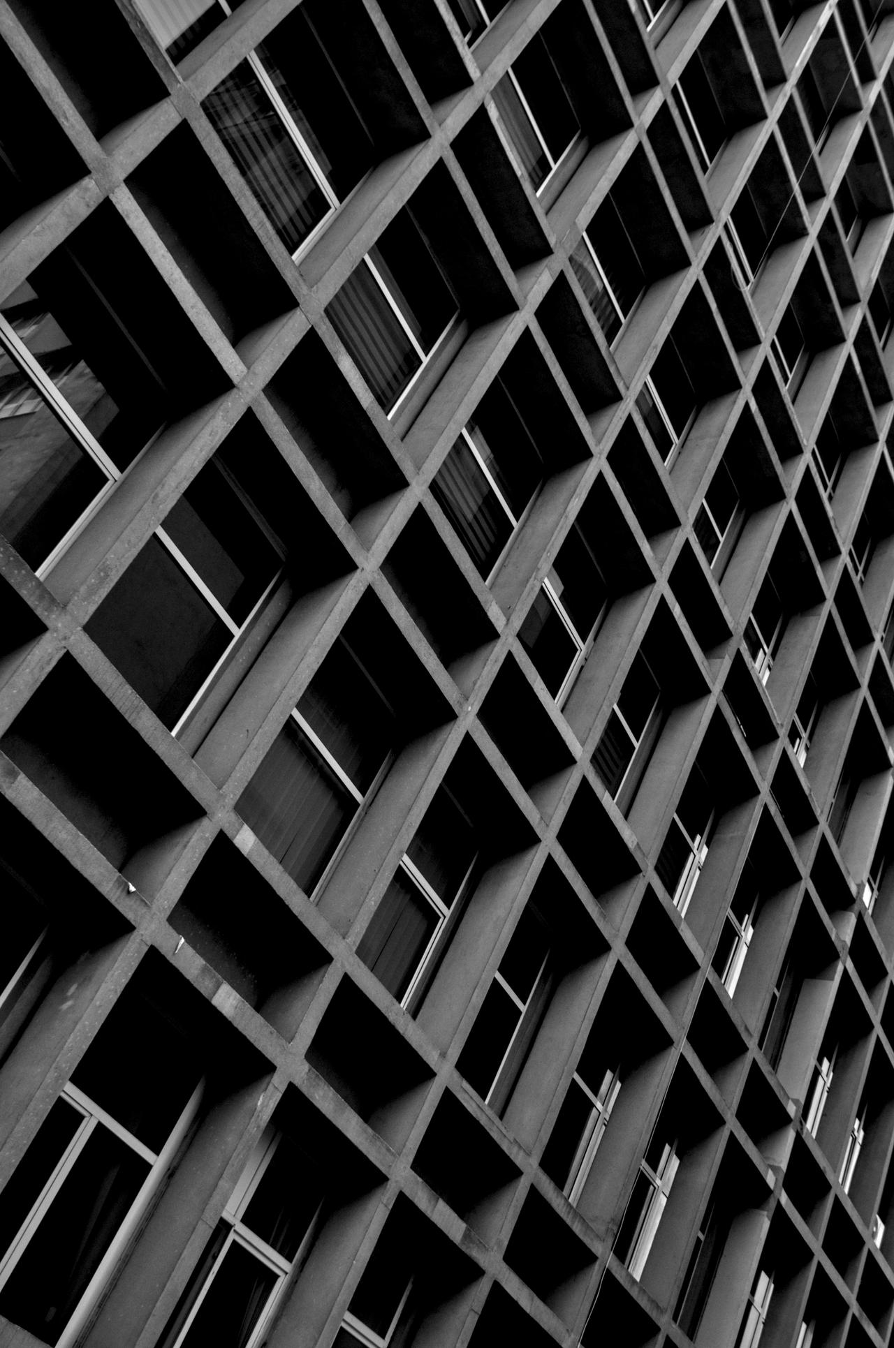 Untitled by Shadinray on DeviantArt