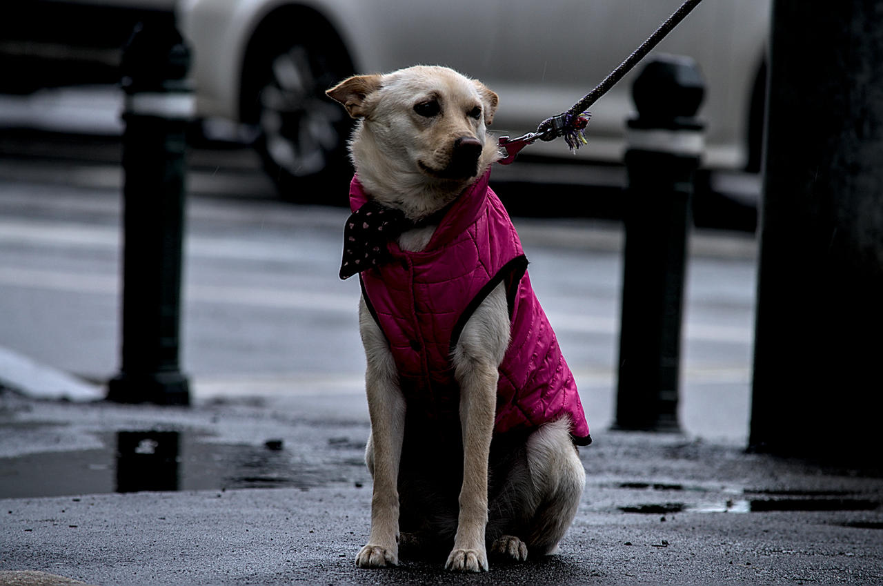 Untitled by Shadinray on DeviantArt