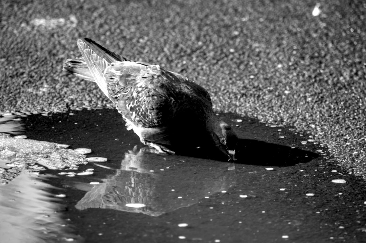 Untitled by Shadinray on DeviantArt