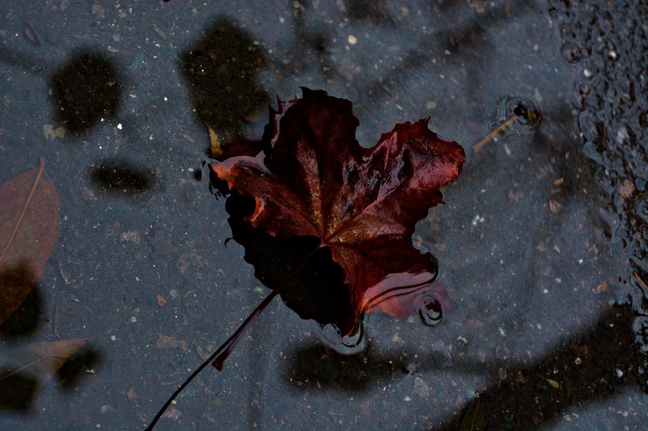 Deviantart. Jpg Untitled by Shadinray on DeviantArt