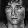 Frodo -  Elijah Wood