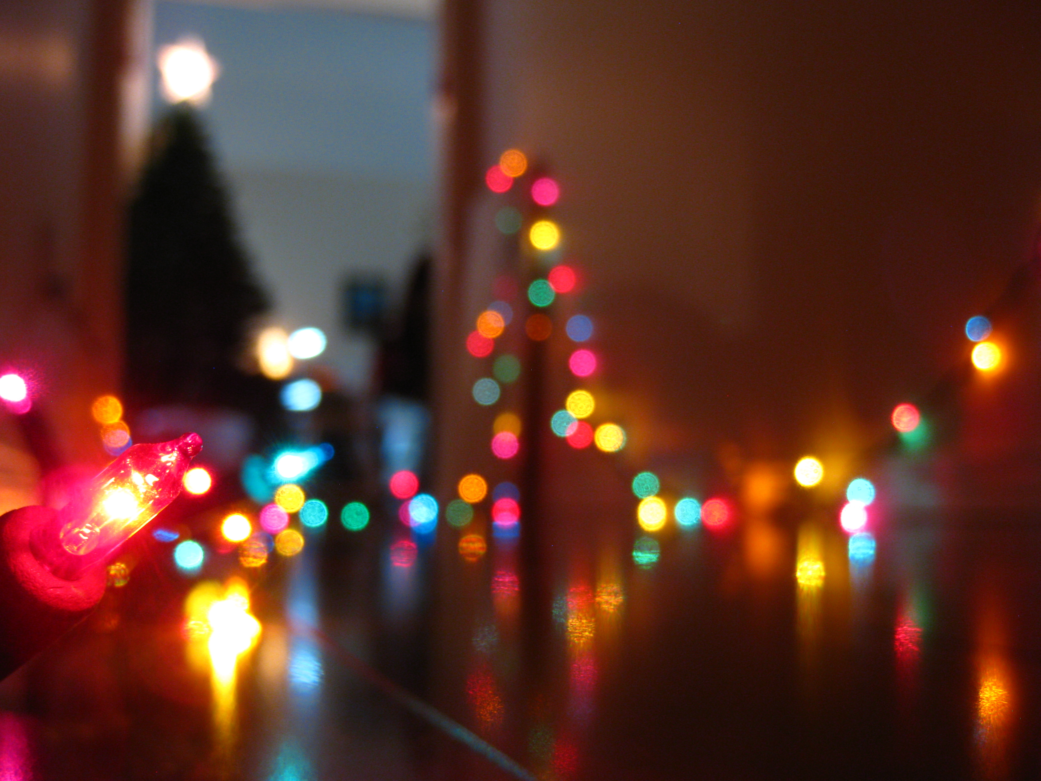 Christmas Lights