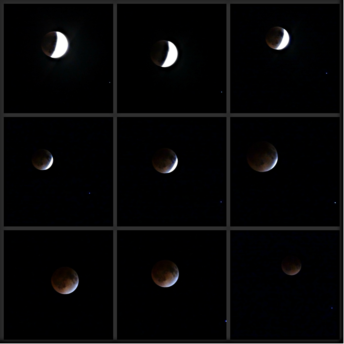 April 15, 2014: Tomato Moons