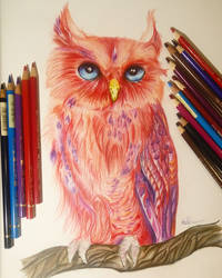 Red Owl