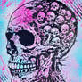 Mind of Many