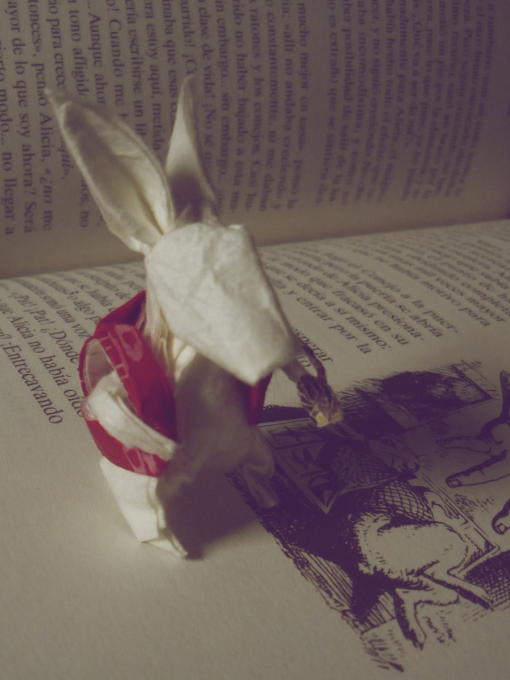 white rabbit