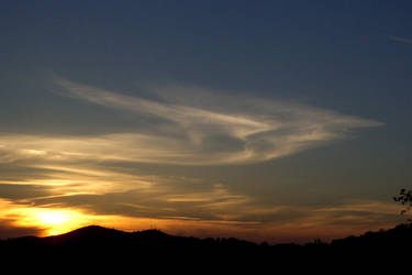 Hovering Angel Sunset