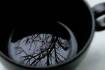 Cup of tea. by sirshark